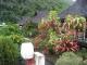 Pension Hiti Moana Villa